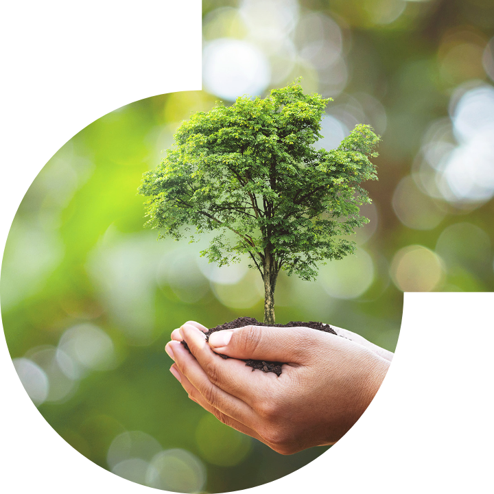 關懷人類、文化、環境與社會